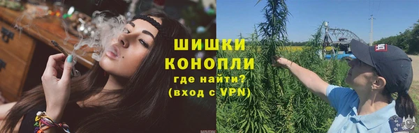 эйфоретик Богданович